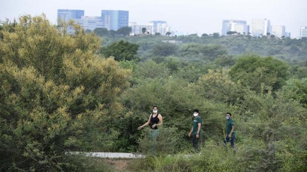 People out in the morning at Aravalli Biodiversity Park in Gurugram on September 27. Several state governments have carried out independent sero surveys which have shown a large variance in findings. The initial findings of the third round of sero survey in Delhi showed that roughly 33% people have been exposed. Such studies have also been conducted in Mumbai, Ahmedabad, Chennai, Puducherry and Indore as well. (Parveen Kumar / HT Photo)
