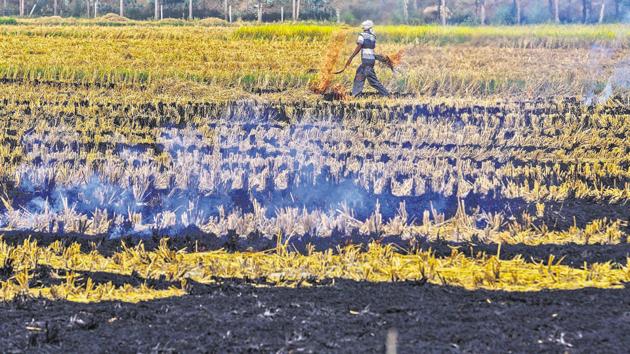 Bharati Kisan Union (Lakhowal) has said that they would be forced to burn stubble if the government failed to compensate them.(HT file)