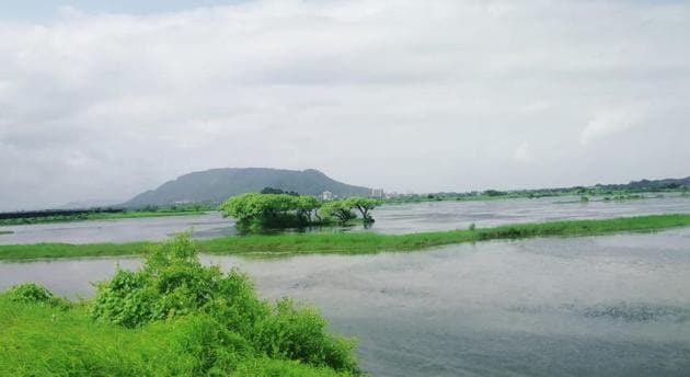 A mangrove hacked. The NCRB data for EPA, 1986 offences for Maharashtra showed 42 cases in 2019, as compared to 45 in 2018.(Sourced) A mangrove hacked. The NCRB data for EPA, 1986 offences for Maharashtra showed 42 cases in 2019, as compared to 45 in 2018.(Sourced)