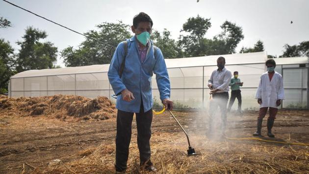 A man seen spraying decomposing chemical over straw waste at Indian Agricultural Research Institute during Delhi CM’s Arvind Kejriwal's visit, in Pusa, New Delhi.(Sanchit Khanna/HT PHOTO) A man seen spraying decomposing chemical over straw waste at Indian Agricultural Research Institute during Delhi CM’s Arvind Kejriwal's visit, in Pusa, New Delhi.(Sanchit Khanna/HT PHOTO)