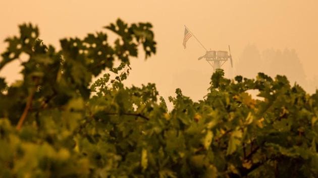 Smoke from the Glass Fire hangs heavy over a vineyard in Napa Valley on September 30. Disagreeing with the state officials, President Donald Trump during his first presidential debate address said that all fires in California would have been controlled if the “dead trees were cleaned by the forest management.” (Samuel Corum / AFP)