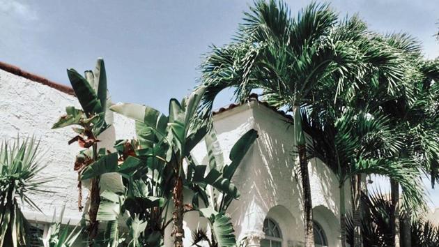 The art world has a new destination: Palm Beach.(Instagram @mitwentiesrevivial) The art world has a new destination: Palm Beach.(Instagram @mitwentiesrevivial)