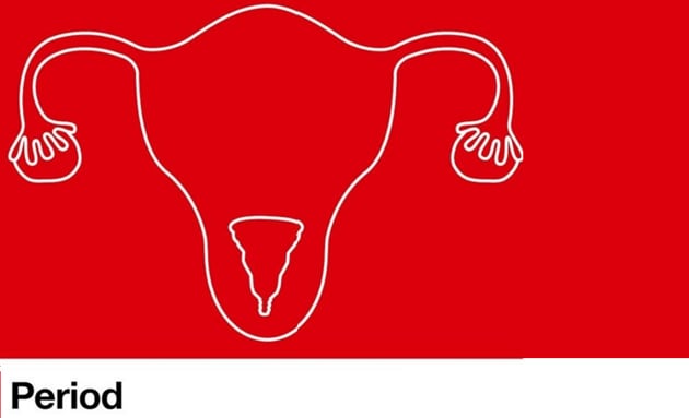 Period Red(Pantone) Period Red(Pantone)