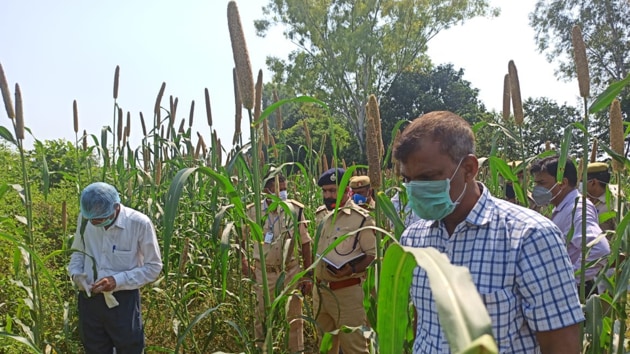 The body of 15-year-old Laxmi Kumari was found by villagers, who were on a search for her in a field.(HT Photo) The body of 15-year-old Laxmi Kumari was found by villagers, who were on a search for her in a field.(HT Photo)
