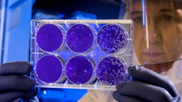 The team used the study of different water molecular species in human breath, also called ‘Breathomics’ method, to explore different water isotopes in human exhaled breath. (Representational Image) (Unsplash) The team used the study of different water molecular species in human breath, also called ‘Breathomics’ method, to explore different water isotopes in human exhaled breath. (Representational Image) (Unsplash)