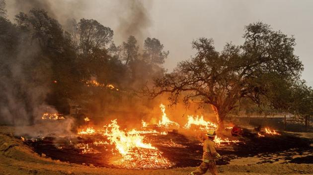 Wildfires are relatively common on the South Island at this time of the year but the scale and intensity of the Ohau fire have been unusual. (AP file photo. Representative image) Wildfires are relatively common on the South Island at this time of the year but the scale and intensity of the Ohau fire have been unusual. (AP file photo. Representative image)