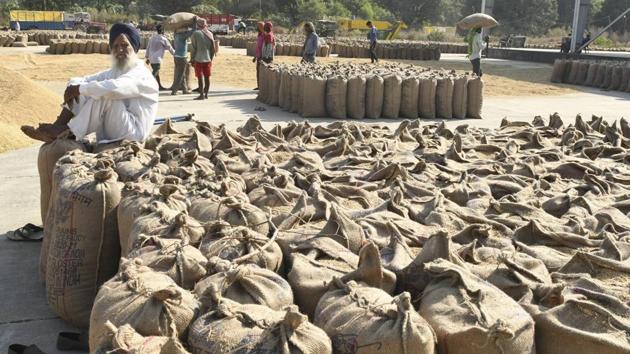 A farmer sits on top of sacks filled with grain at New Grain Market in Chandigarh on October 3. For efficient farm markets, the government recently passed three laws which will allow farmers to bypass state-controlled market yards run by agricultural produce market committees (APMCs) and enter into five-year farming contracts with agribusinesses. (PTI)