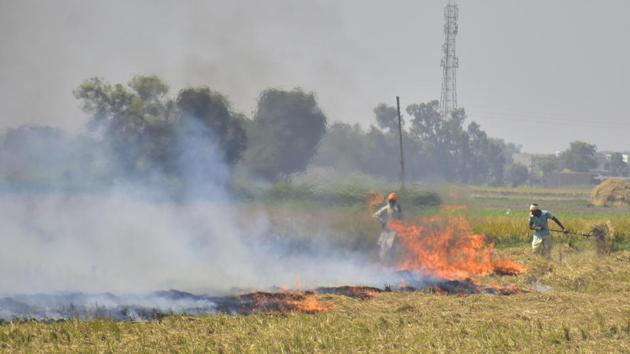 Farmers burn stubble in a field after crop harvest, near Jandiala Guru, in Amritsar, Punjab, India, on Friday, October 02, 2020. (Photo by Sameer Sehgal / Hindustan Times) Farmers burn stubble in a field after crop harvest, near Jandiala Guru, in Amritsar, Punjab, India, on Friday, October 02, 2020. (Photo by Sameer Sehgal / Hindustan Times)