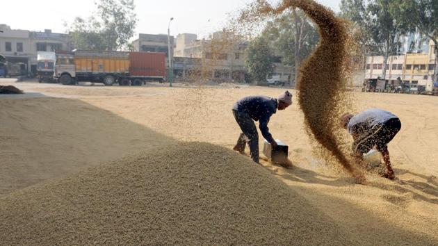 Labourer dry paddy crop at New Grain Market in Jalandhar. The BMS passed a resolution demanding effective changes in the law on migrant workers, national level registration, social security and other facilities for them. (File photo) Labourer dry paddy crop at New Grain Market in Jalandhar. The BMS passed a resolution demanding effective changes in the law on migrant workers, national level registration, social security and other facilities for them. (File photo)