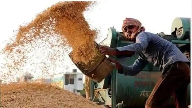 Ambala City BJP MLA Aseem Goel said that farmers, labourers and traders were being harassed due to the delay in paddy procurement.(HT file photo)