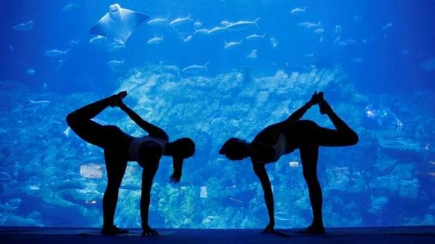 People take part in a yoga class at Ocean Park's aquarium, as a new activity to attract visitors amid a drop in tourists due to the coronavirus disease (COVID-19) outbreak, in Hong Kong, China October 8, 2020. (REUTERS) People take part in a yoga class at Ocean Park's aquarium, as a new activity to attract visitors amid a drop in tourists due to the coronavirus disease (COVID-19) outbreak, in Hong Kong, China October 8, 2020. (REUTERS)