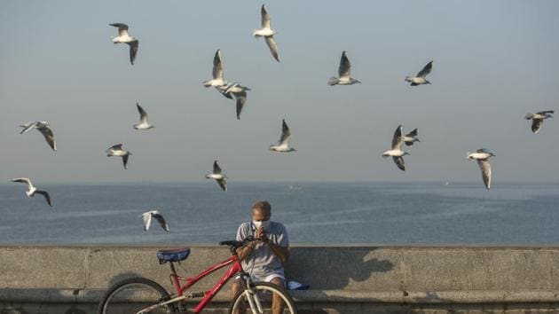 Seagulls fly past a man Marine Drive in Mumbai on November 17, 2018. Migratory birds require appropriate habitats such as wetlands, coastal areas, forests and grasslands to support their life cycle. (Pratik Chorge / HT Photo)