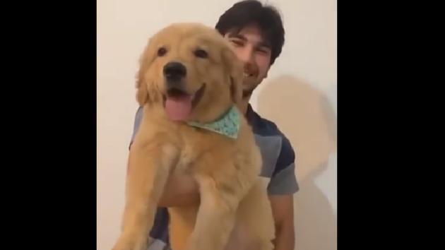 The image shows Logan with his owner. (Instagram/@ogoldenlogan) The image shows Logan with his owner. (Instagram/@ogoldenlogan)