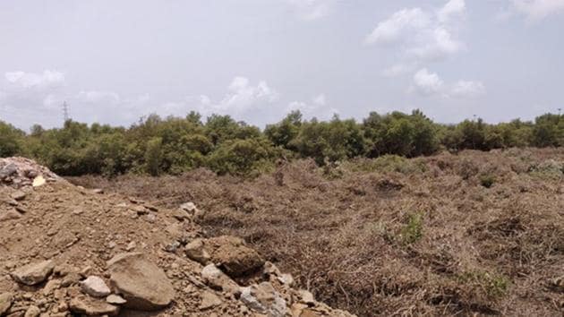 Debris dumping at Pagote mangroves. (HT Photo) Debris dumping at Pagote mangroves. (HT Photo)