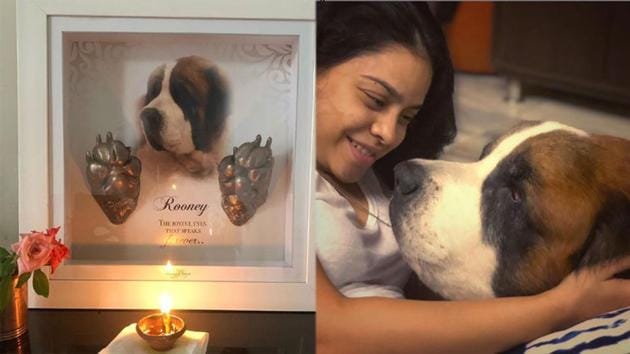 Sumona Chakravarti remembers her dog Rooney.