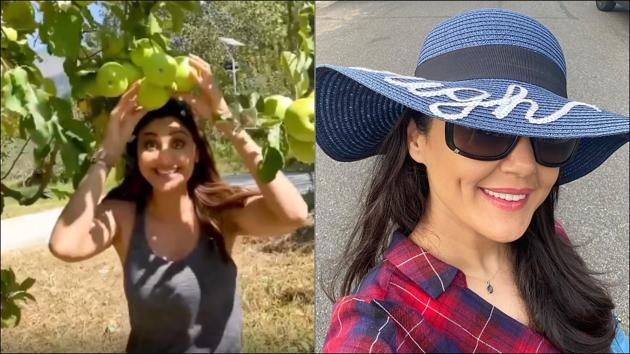 ‘Apple farmer’ Preity Zinta offers Shilpa Shetty a new job after this video from Manali(Instagram/theshilpashetty/realpz)