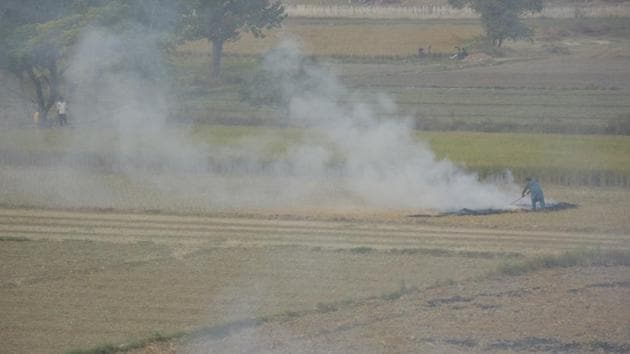 A farmer burns stubble in a field at Kushaliya village in Ghaziabad. (Sakib Ali/HT PHOTO) A farmer burns stubble in a field at Kushaliya village in Ghaziabad. (Sakib Ali/HT PHOTO)
