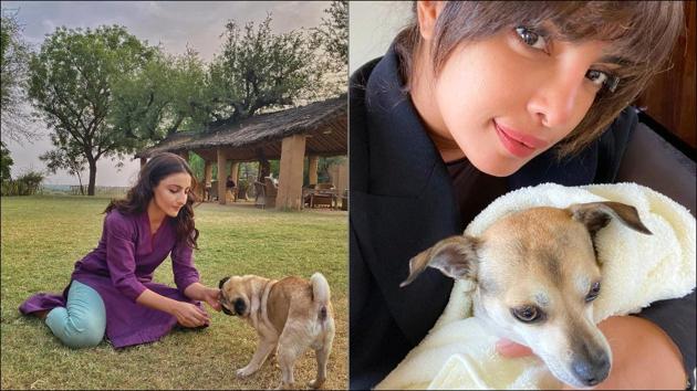 Soha Ali Khan, Priyanka Chopra and their pet relationships set the Internet gushing (Instagram/sakpataudi/priyankachopra) Soha Ali Khan, Priyanka Chopra and their pet relationships set the Internet gushing (Instagram/sakpataudi/priyankachopra)