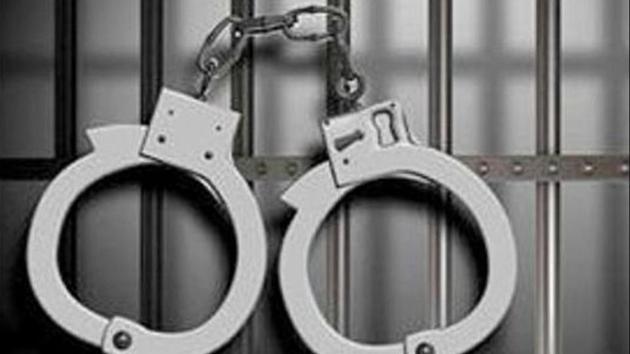 Aaftab Alam, who was arrested by the police, is CPI-ML candidate, contesting elections from Aurai constituency in Muzaffarpur District of the state.(HT Archive)