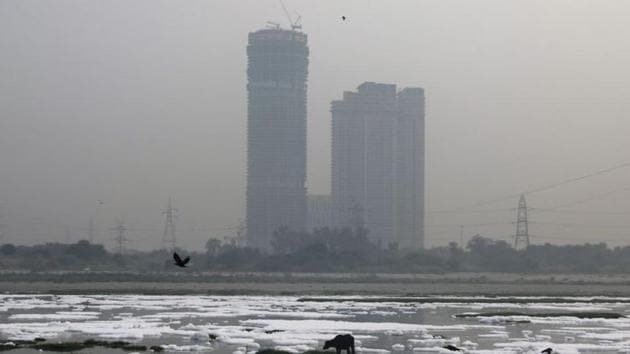 An animal is seen grazing in the polluted water of the river Yamuna, covered in foam during a hazy morning, in New Delhi. (REUTERS) An animal is seen grazing in the polluted water of the river Yamuna, covered in foam during a hazy morning, in New Delhi. (REUTERS)