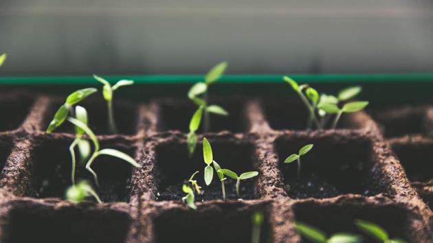 For decades, the need to cut emissions has been dogged by questions that essentially boil down to: how much will it cost, and is it worth it?(Unsplash) For decades, the need to cut emissions has been dogged by questions that essentially boil down to: how much will it cost, and is it worth it?(Unsplash)