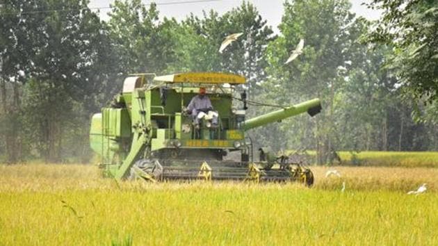 Punjab govt claims 3,56,516 farmers have been benefited by the procurement process till Friday evening.(Photo: Sameer Sehgal/ Hindustan Times)