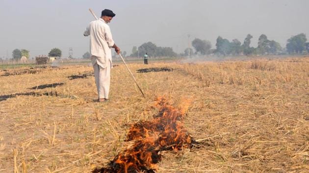 Data from the Indian weather office shows a sharp increase in farm fires in Punjab and Haryana, with 3,517 incidents till October 15 in this harvest season, compared to a third that number last year. (Bharat Bhushan/HT Photo) Data from the Indian weather office shows a sharp increase in farm fires in Punjab and Haryana, with 3,517 incidents till October 15 in this harvest season, compared to a third that number last year. (Bharat Bhushan/HT Photo)