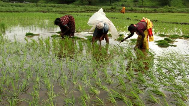 Rain-hit Maharshtra farmers stopped minister Vijay Wadettiwar’s convoy to demand immediate government help(File Photo (Representative Image))