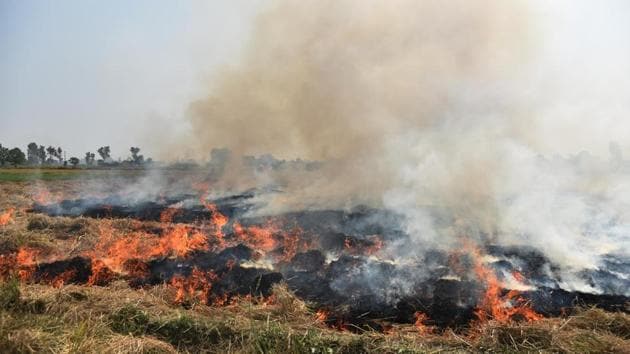 Contribution of stubble fires to PM2.5 pollution is likely to rise on Monday and Tuesday. (HT photo) Contribution of stubble fires to PM2.5 pollution is likely to rise on Monday and Tuesday. (HT photo)