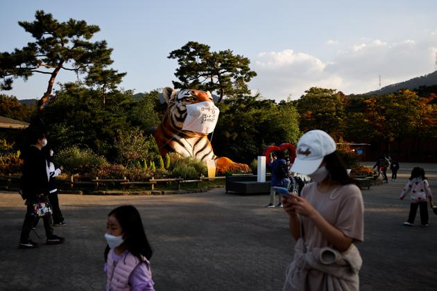 Covid 19 South Korea Begins Testing Employees At Hospitals Nursing Homes Hindustan Times Travel guide resource for your visit to gwacheon. covid 19 south korea begins testing