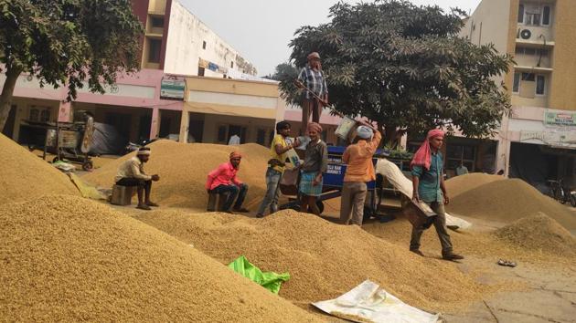 With the festive and sowing season round the corner, the delay has caused consternation among farmers and agricultural workers.(HT PHOTO)