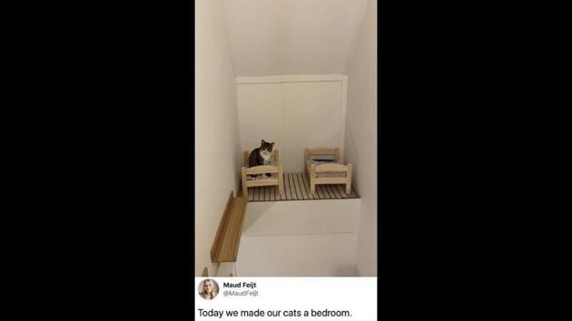 The image shows two cat beds. (Twitter/@MaudFeijt) The image shows two cat beds. (Twitter/@MaudFeijt)