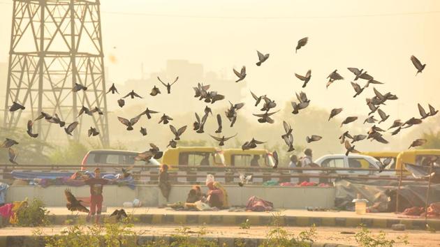 A band of pigeons takes to the air on a hazy day in New Delhi on October 19. According to the health ministry’s Covid-19 dashboard, the number of active cases of infection, which has also dropped for four days in a row, is now at 740,090. India’s death toll meanwhile has gone up to 115,914. (Raj K Raj / HT Photo)