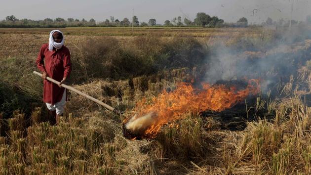 A farmer burns straw stubble after harvesting a paddy crop in a field near Amritsar on October 19, 2020. (AFP) A farmer burns straw stubble after harvesting a paddy crop in a field near Amritsar on October 19, 2020. (AFP)