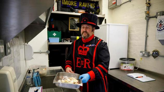 Skaife prepares food for the ravens at the Tower of London in central London on October 12, 2020. During the lockdown, “I had to keep them occupied without the public being there, so I gave them enrichment toys that would help them enjoy their day,” Skaife told AFP. (Tolga Akmen / AFP)