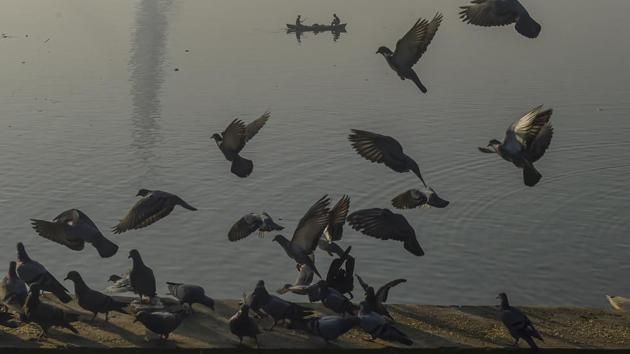 Delhi’s air quality has been recorded in the ‘poor’ category all of this week. (PTI) Delhi’s air quality has been recorded in the ‘poor’ category all of this week. (PTI)