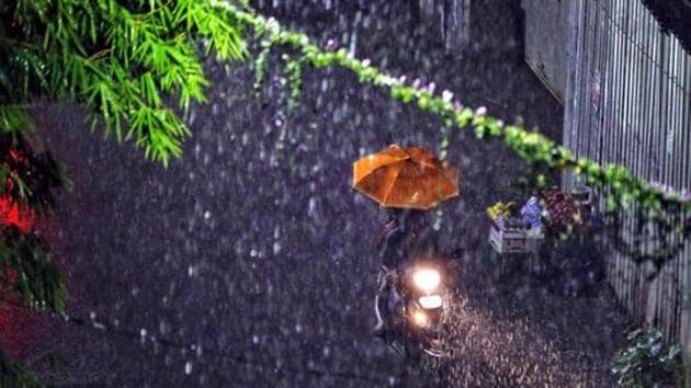A man uses an umbrella during heavy rain at Katraj in Pune, India.(Rahul Raut/HT)