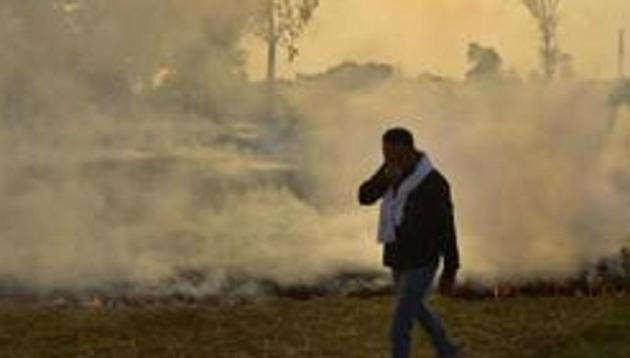 Stubble burning cases would see a steep rise over the next two weeks, with only 60% of the crop harvested so far, official fear(HT file) Stubble burning cases would see a steep rise over the next two weeks, with only 60% of the crop harvested so far, official fear(HT file)