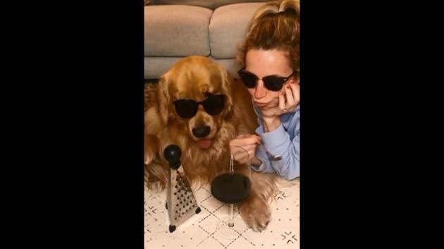 The image shows the dog with its human. (Instagram/@marleyinnyc) The image shows the dog with its human. (Instagram/@marleyinnyc)