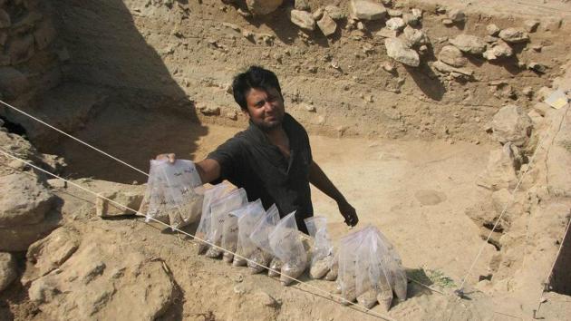 Lead researcher Kalyan Sekhar Chakraborty at the excavation site of the Indus Valley Civilisation settlement in Gujarat.(Photo courtesy:Kalyan Sekhar ChakrabortyL)