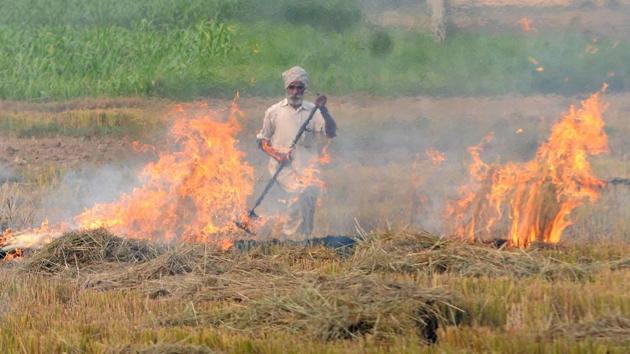 A farmer burns paddy stubble in a field at Kauli village near Patiala on October 24. The Ministry of Earth Sciences’ air quality monitor System of Air Quality and Weather Forecasting and Research (SAFAR) has also observed a sharp increase in stubble burning activities in neighbouring states and forecasted Delhi’s air quality to worsen in coming days. (Bharat Bhushan / HT Photo) A farmer burns paddy stubble in a field at Kauli village near Patiala on October 24. The Ministry of Earth Sciences’ air quality monitor System of Air Quality and Weather Forecasting and Research (SAFAR) has also observed a sharp increase in stubble burning activities in neighbouring states and forecasted Delhi’s air quality to worsen in coming days. (Bharat Bhushan / HT Photo)