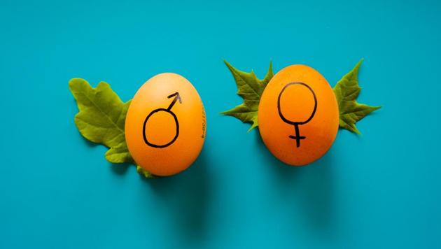 Although the government has issued policies on sex education for decades, implementation has been limited. (Unsplash) Although the government has issued policies on sex education for decades, implementation has been limited. (Unsplash)