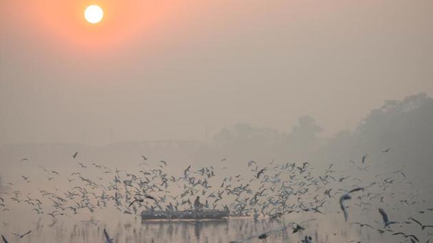 A man in a boat on the Yamuna River feeds migratory gulls amid haze in the morning in New Delhi on October 23. Central Pollution Control Board (CPCB) recordings updated on 7 am on October 26 showed that on October 25 - Delhi’s overall air quality index (AQI) improved to 349 from 366 on October 23. However, Mundka and Alipur had AQI at 425 and 413 respectively and stayed in ‘severe’ zone for over 38 hours continuously. (Amal KS / HT Photo) A man in a boat on the Yamuna River feeds migratory gulls amid haze in the morning in New Delhi on October 23. Central Pollution Control Board (CPCB) recordings updated on 7 am on October 26 showed that on October 25 - Delhi’s overall air quality index (AQI) improved to 349 from 366 on October 23. However, Mundka and Alipur had AQI at 425 and 413 respectively and stayed in ‘severe’ zone for over 38 hours continuously. (Amal KS / HT Photo)
