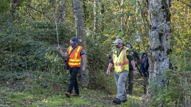 WSDA workers follow an Asian giant hornet wearing a tracker on October 22 near Blaine. The nest was found on a property near the border with Canada. “The successful detection of a nest comes after a WSDA trapper collected two live Asian giant hornets on October 21, caught in a new type of trap the agency had placed in the area,” the agency said in a statement. (Karla Salp / Washington Dept. of Agriculture via AP)