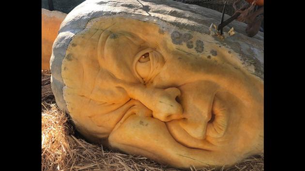 The image shows the 942 kg jack o’ lantern.(Instagram/@guinnessworldrecords) The image shows the 942 kg jack o’ lantern.(Instagram/@guinnessworldrecords)