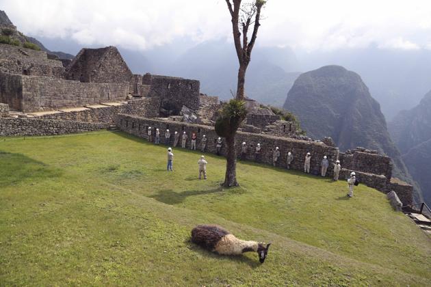 A lama lays on the grass at the Machu Picchu archeological site, where only maintenance workers gather while it's closed to the public amid the COVID-19 pandemic, in the department of Cusco, Peru, Tuesday, Oct. 27, 2020. The world-renown Incan citadel of Machu Picchu will reopen on Nov. 1. (AP Photo/Martin Mejia) (AP)