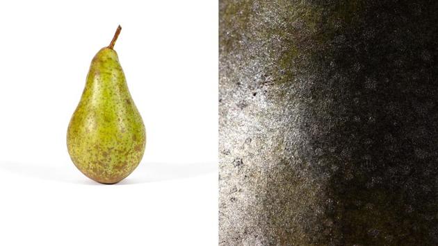 A pear, dusted with forensic powder and then photographed by Lewis Bush. (Lewis Bush)