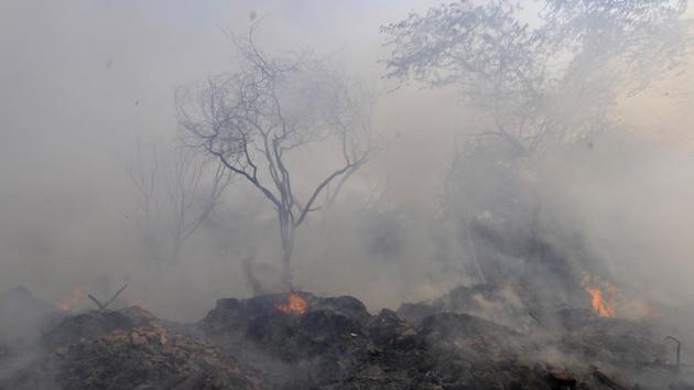 Smoke rising from a fire in a forest at Sector 54 in Noida on October 27. Winds in Delhi, which have ranged from moderate to high this season, were to blame as they became stagnant and trapped pollutants, SAFAR told Reuters. (Sunil Ghosh / HT Photo)