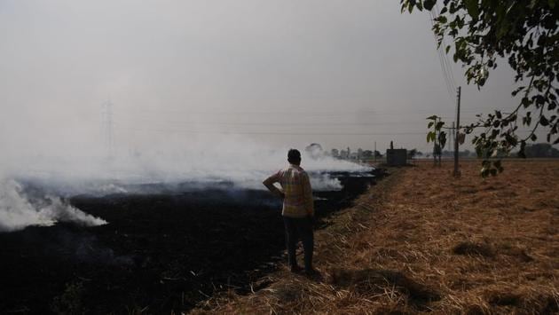 A man looks on as smoke rises from the burnt remains at a paddy field in Baran village, Patiala, Punjab on October 28. Average air pollution this month hit its worst in two years after farmers in Delhi’s neighbouring states made an early start on stubble burning after harvests. (Bharat Bhushan / HT Photo)