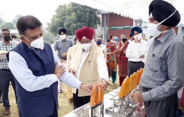 Anirudh Tewari, additional chief secretary (development) of Punjab, interacting with Punjab Agricultural University (PAU) officials in Ludhiana on Thursday.(HT PHOTO) Anirudh Tewari, additional chief secretary (development) of Punjab, interacting with Punjab Agricultural University (PAU) officials in Ludhiana on Thursday.(HT PHOTO)